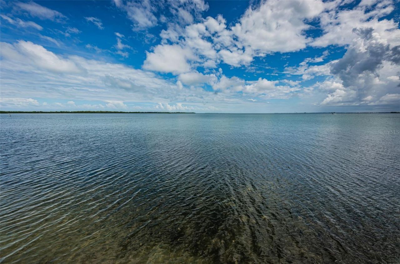 9 Haig Place, Unit 312, Dunedin, FL 34698 Photo