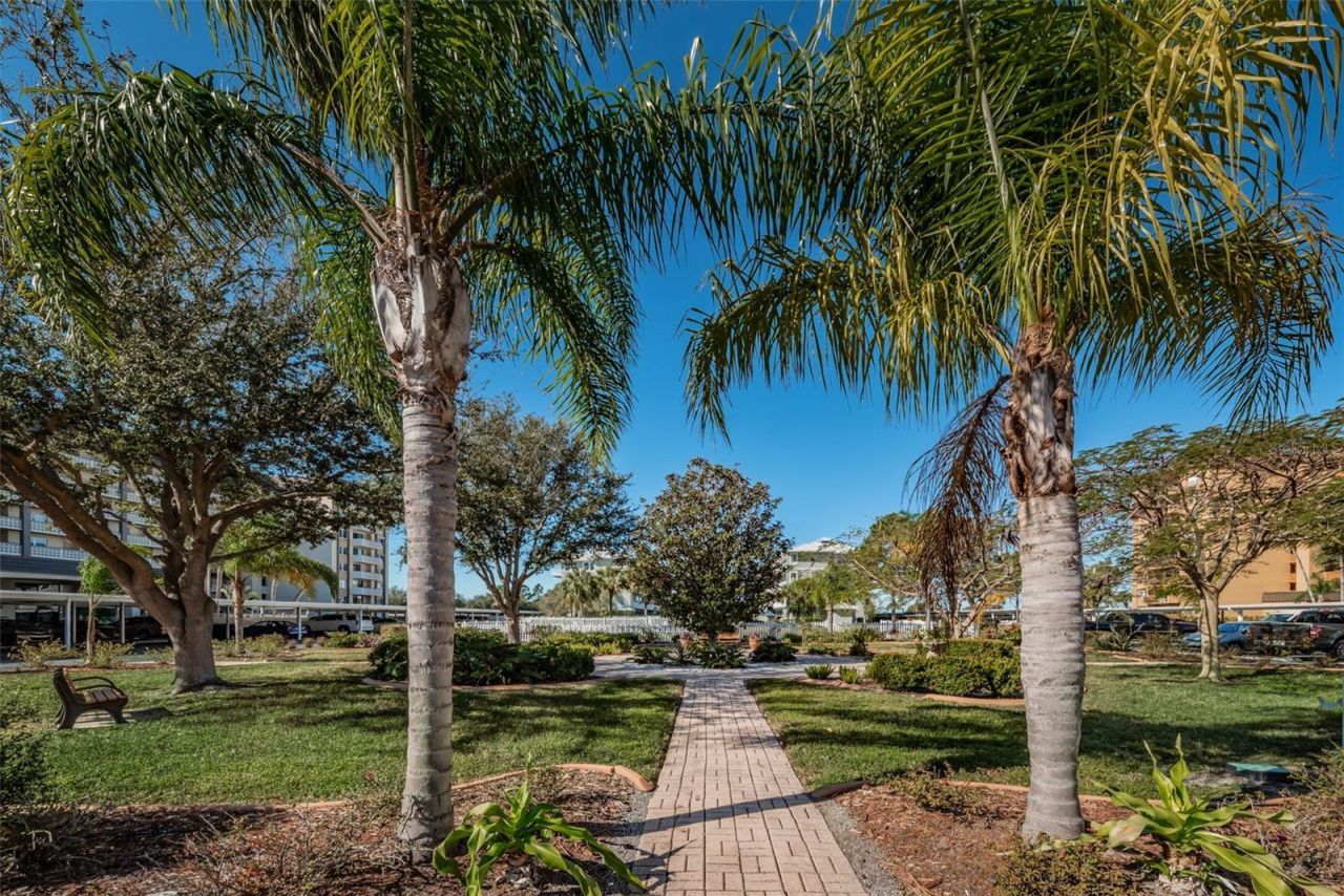 9 Haig Place, Unit 312, Dunedin, FL 34698 Photo