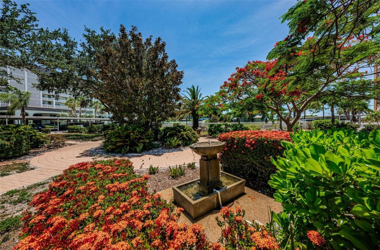 9 Haig Place, Unit 312, Dunedin, FL 34698 Photo