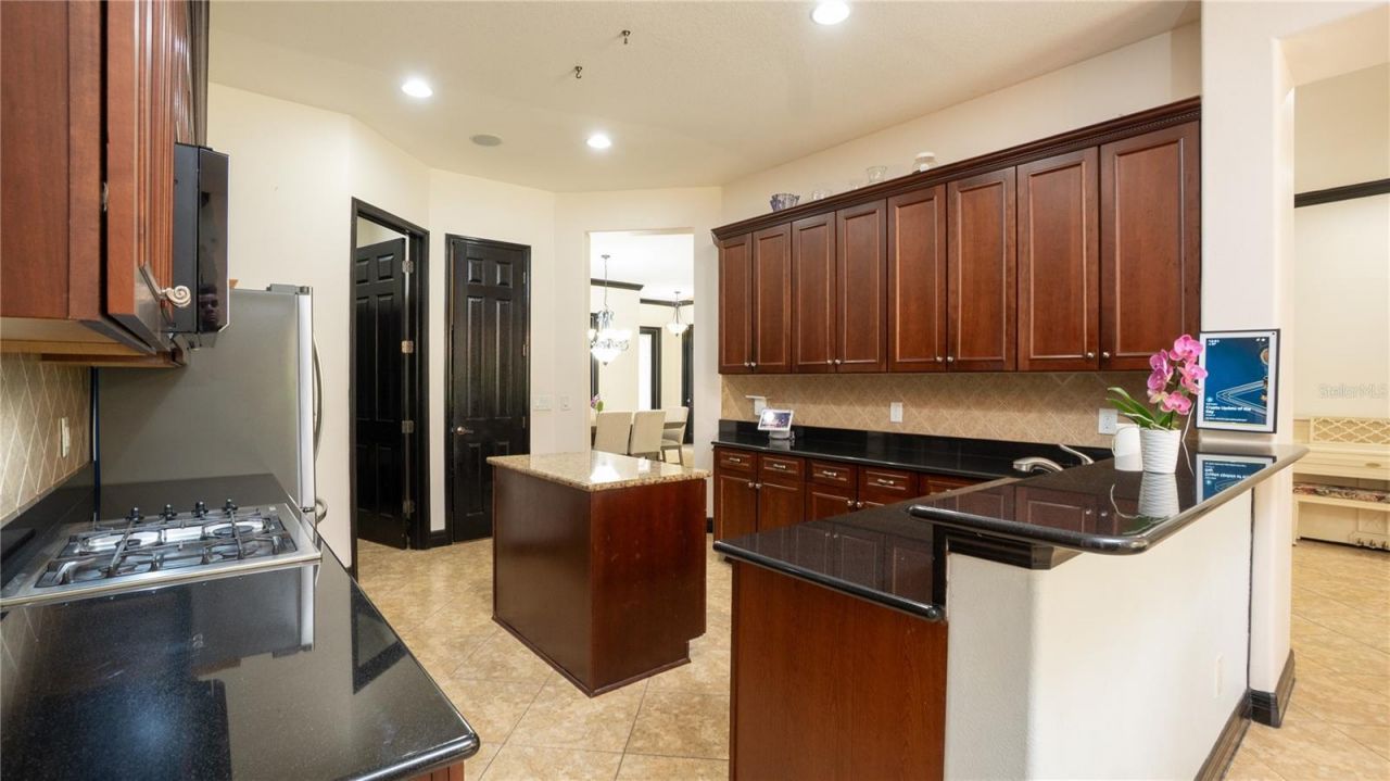 20023 Pergola Bend Lane, Tampa, FL 33647 Photo