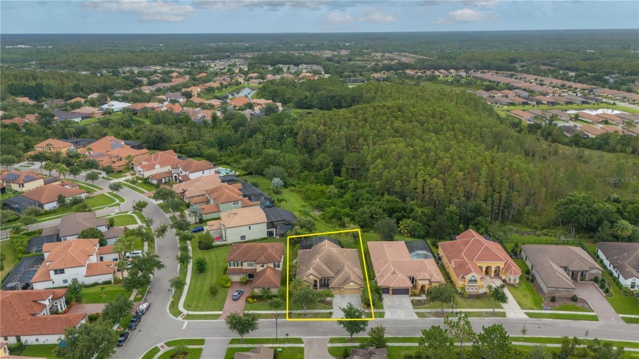 20023 Pergola Bend Lane, Tampa, FL 33647 Photo