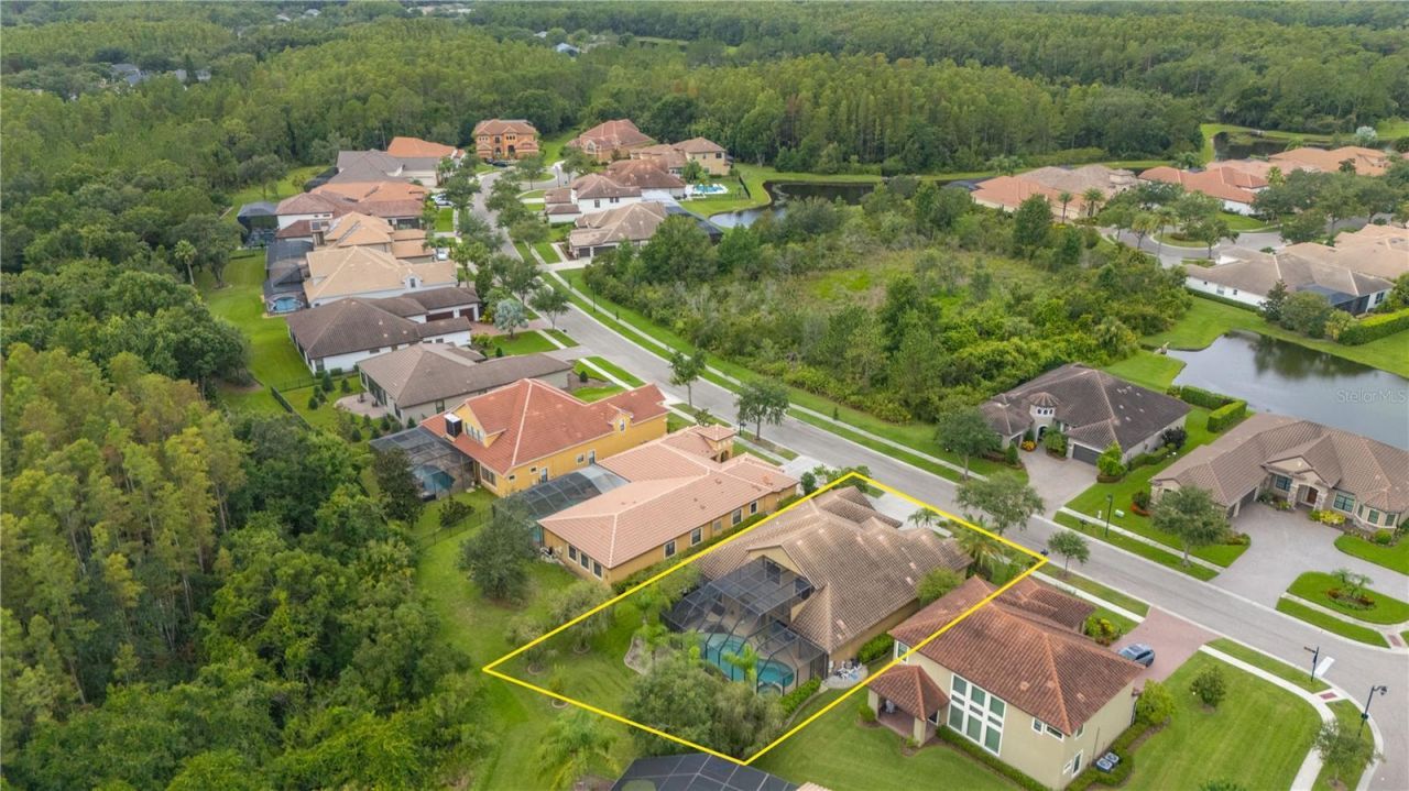 20023 Pergola Bend Lane, Tampa, FL 33647 Photo