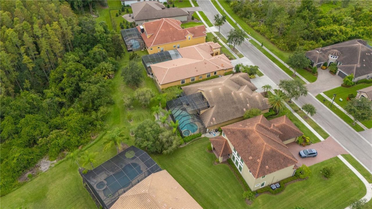 20023 Pergola Bend Lane, Tampa, FL 33647 Photo