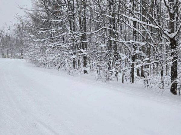 Lot# 28 Mount Vernon Hills Drive, Vanderbilt, MI 49795