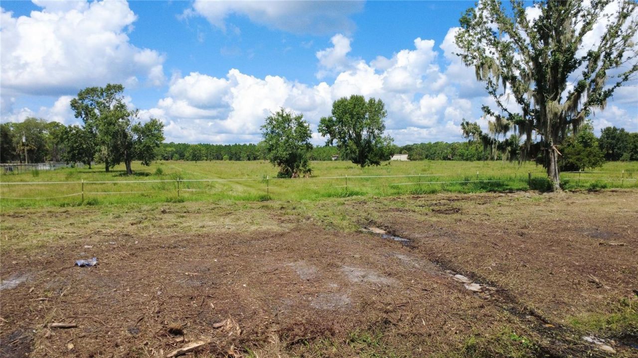 Tomoka Farms Road, Port Orange, FL 32128 Photo
