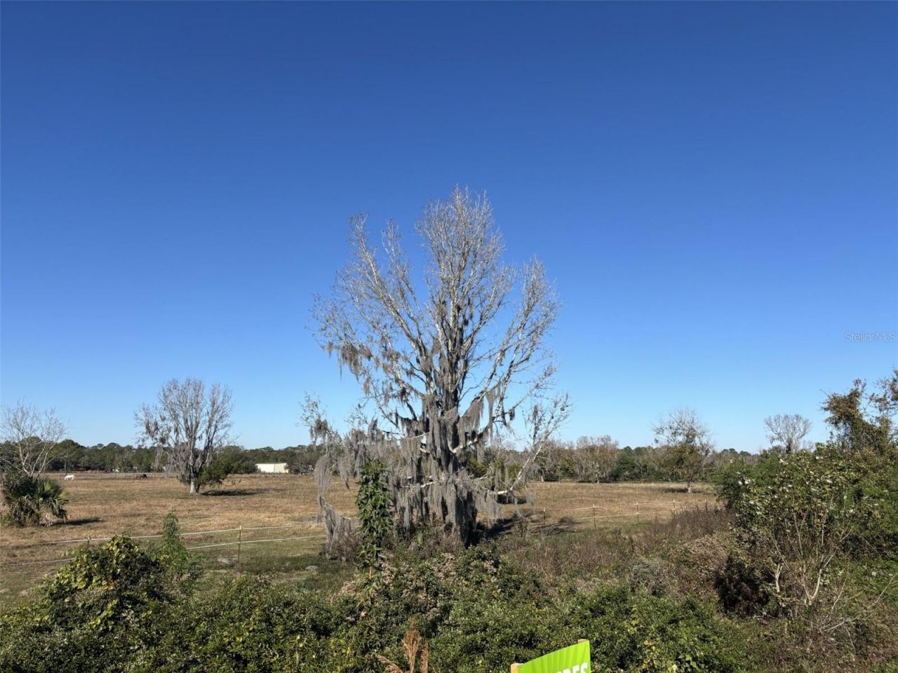 Tomoka Farms Road, Port Orange, FL 32128 Photo