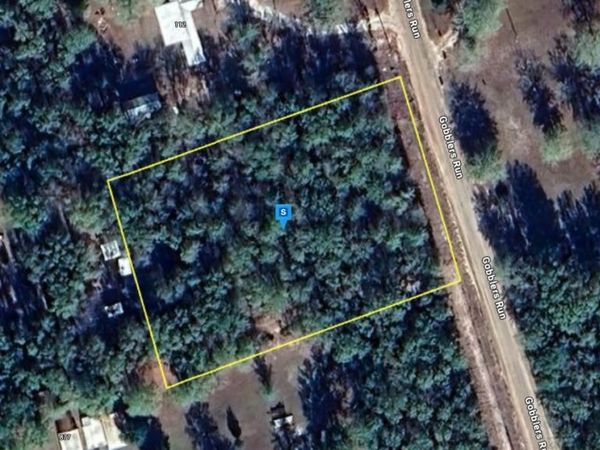 200 Gobblers Run, Nahunta, GA 31553