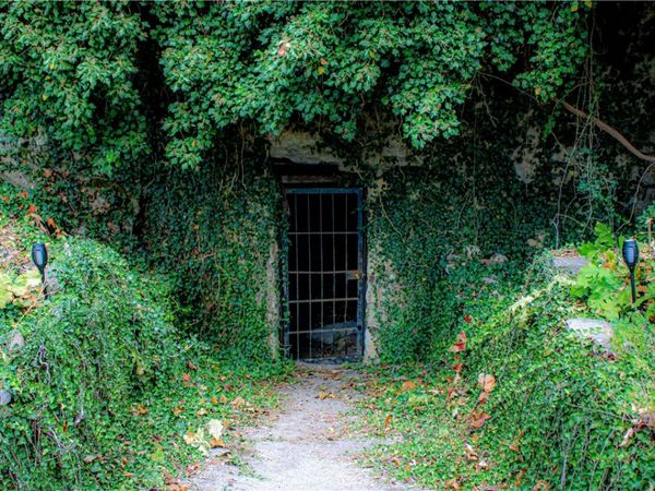 1770 MC 5026 , Valley Springs, AR 72682