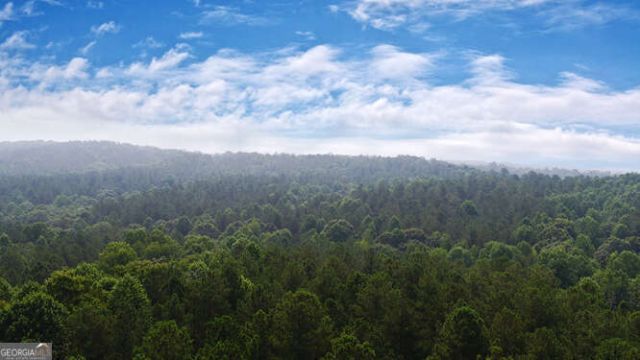 0 Mt. Sinai Road, Lula, GA 30554 Main Photo