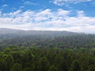 0 Mt. Sinai Road, Lula, GA 30554