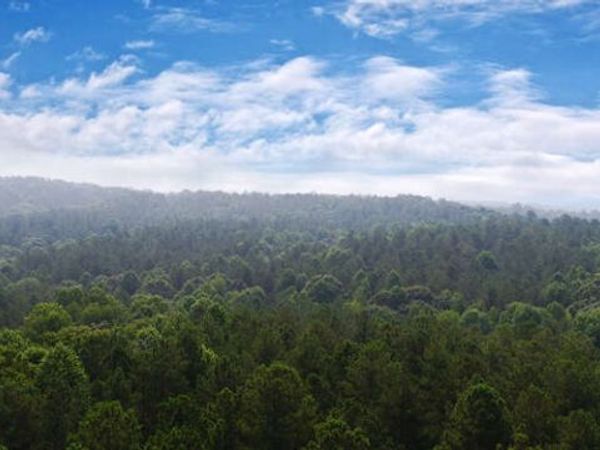 0 Mt. Sinai Road, Lula, GA 30554