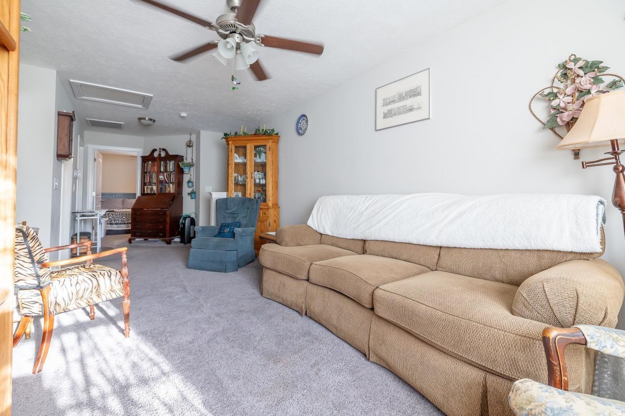 244 Turning Pines Loop Photo 19