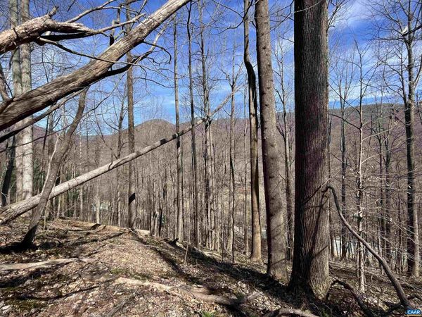 TBD BEECH GROVE RD, ROSELAND, VA 22967