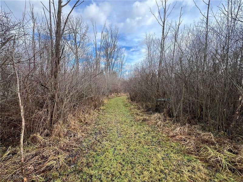 Boston Road, Hinckley, OH 44233 Photo 24