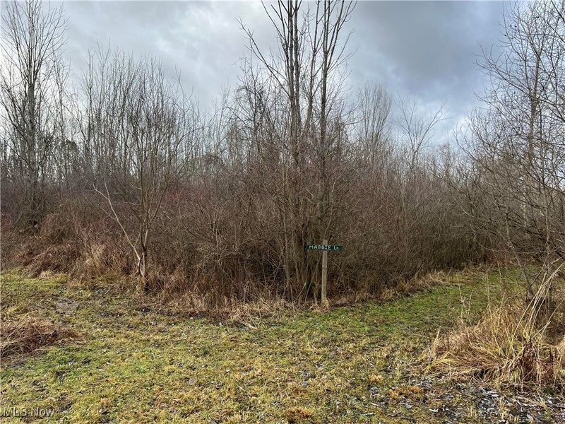 Boston Road, Hinckley, OH 44233 Photo 26