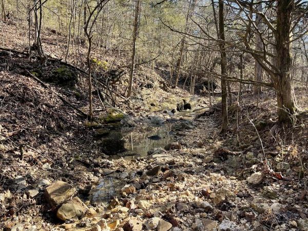 000 Us Hwy 160, Gainesville, MO 65655