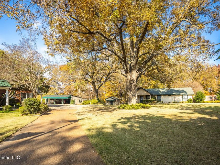 Property Image 52