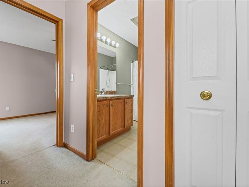 594 Birch Hill Drive, Medina, OH 44256 Photo 16