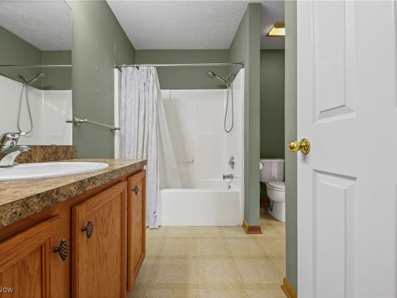 594 Birch Hill Drive, Medina, OH 44256 Photo 17