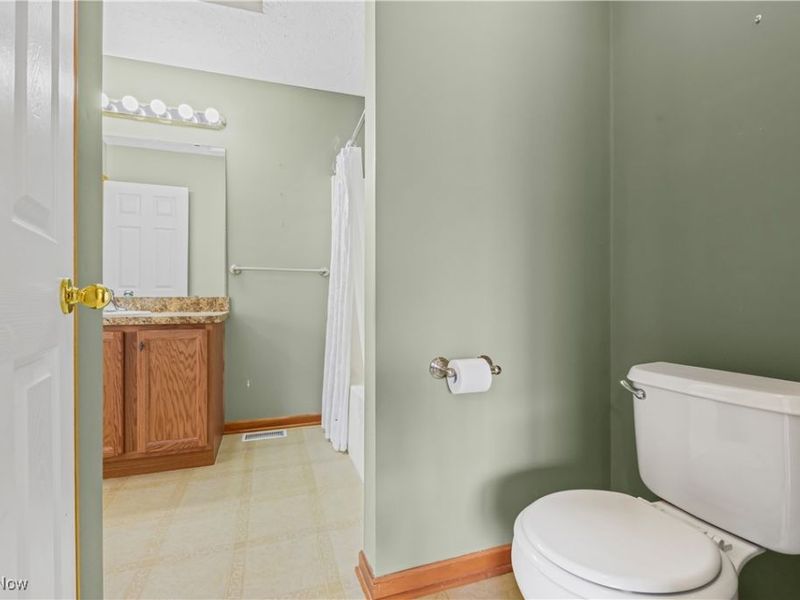 594 Birch Hill Drive, Medina, OH 44256 Photo 19