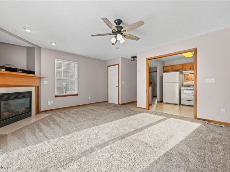 594 Birch Hill Drive, Medina, OH 44256 Photo 28