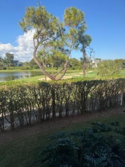 3521 Village Boulevard, Unit 206, West Palm Beach, FL 33409 Photo