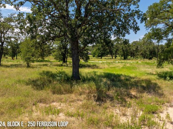 250 Ferguson LOOP, Dale, TX 78616