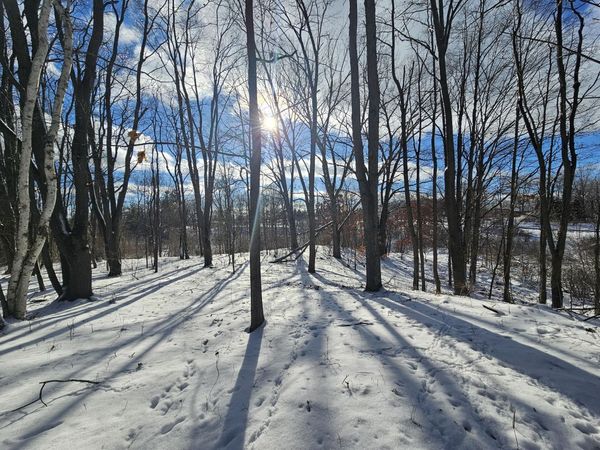 01 120th Ave, Rodney, MI 49342