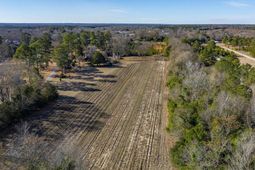 224 Walnut Street photo 4