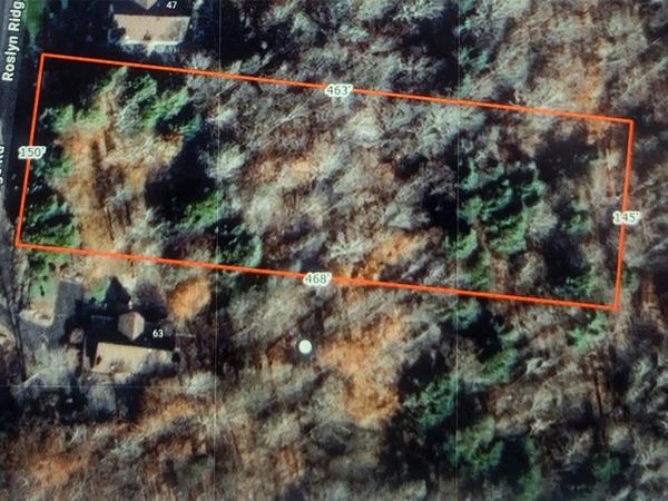 000 Roslyn Ridge Road, Mongaup Valley, NY 12720