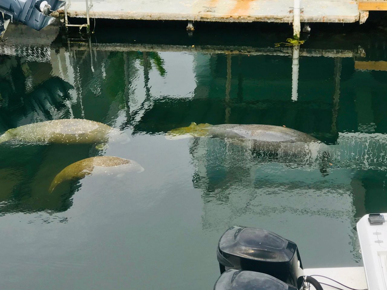 19 Avenue D, Key Largo, FL 33037 Photo