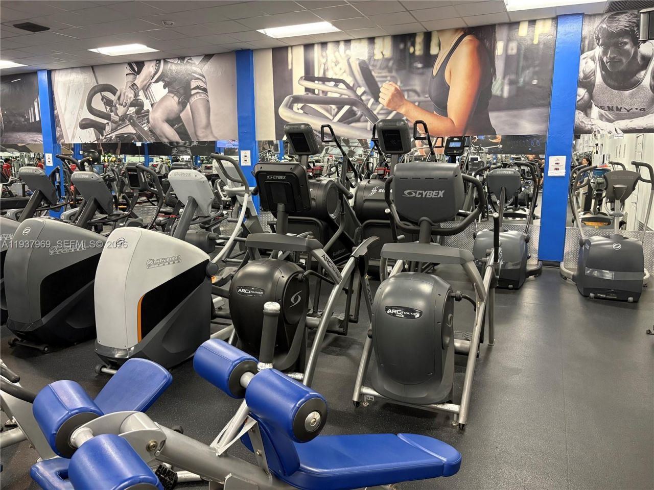 117 Danielle Ct, Weston, FL 33326 Photo