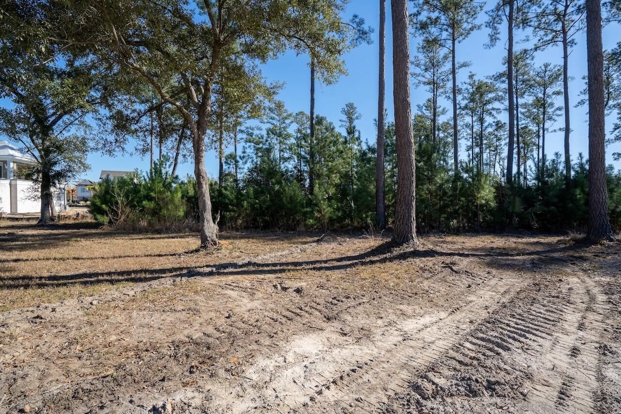 934 Fish Camp Road Photo 6