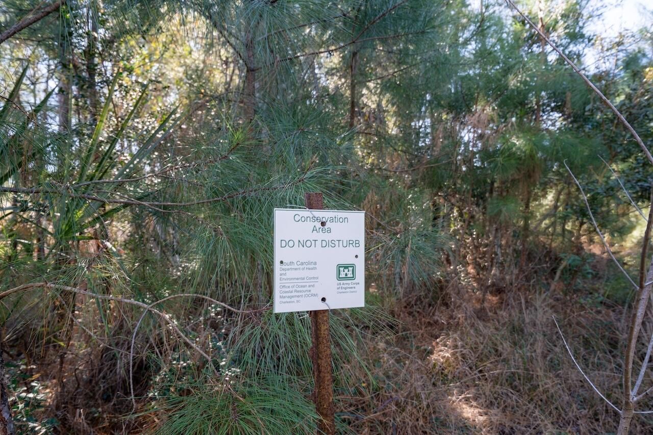 934 Fish Camp Road Photo 7