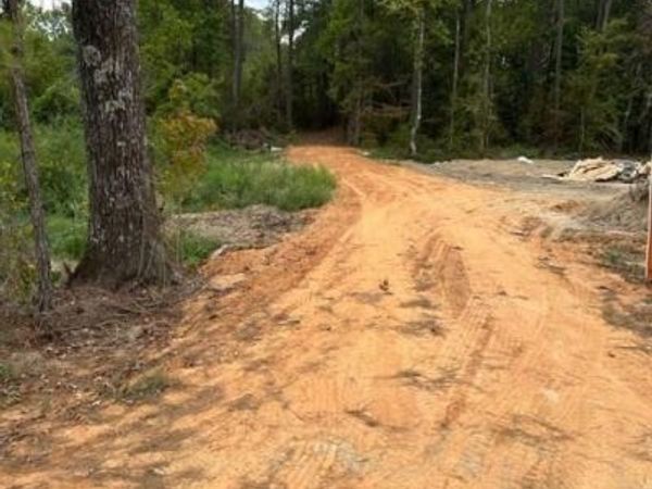 0 WILLIFORD Road, Ball, LA 71360