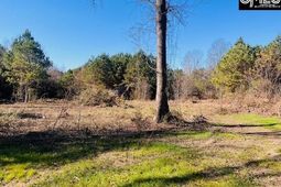 0 J Farm Trail photo 4