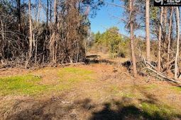 0 J Farm Trail photo 4