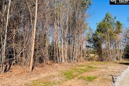 0 J Farm Trail photo 4