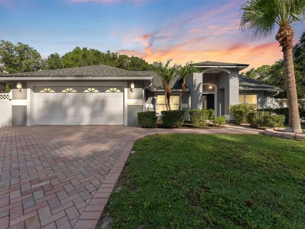 15123 BALD EAGLE STREET, TAMPA, FL 33625