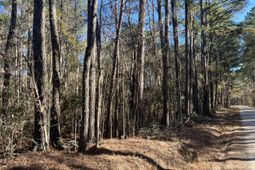 0 Brittlebank Road photo 4