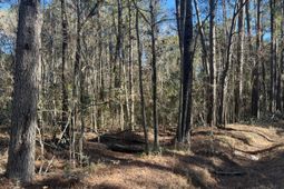 0 Brittlebank Road photo 4