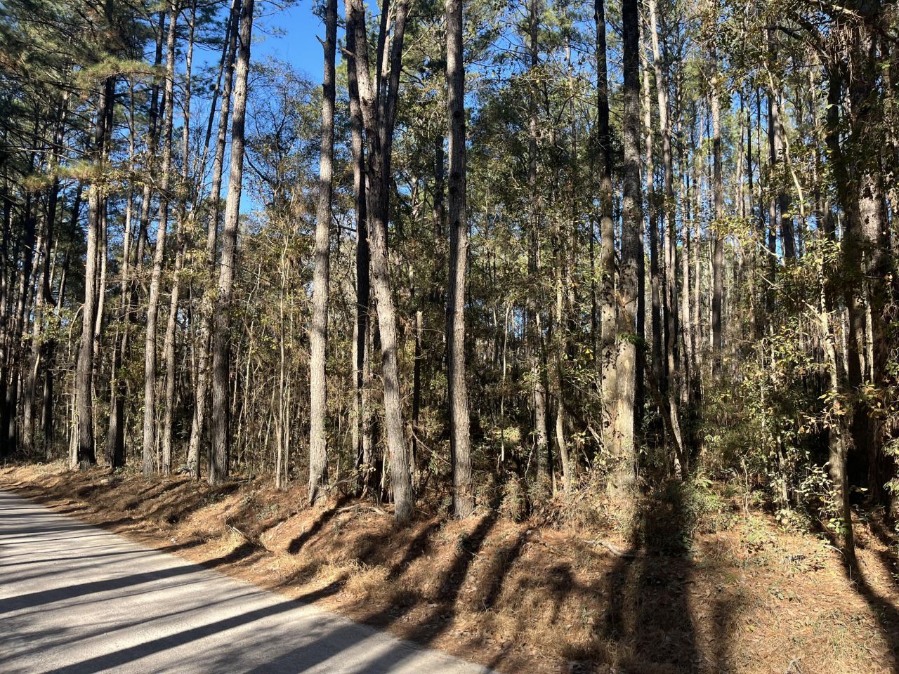 0 Brittlebank Road Photo 4