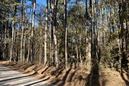 0 Brittlebank Road photo 4