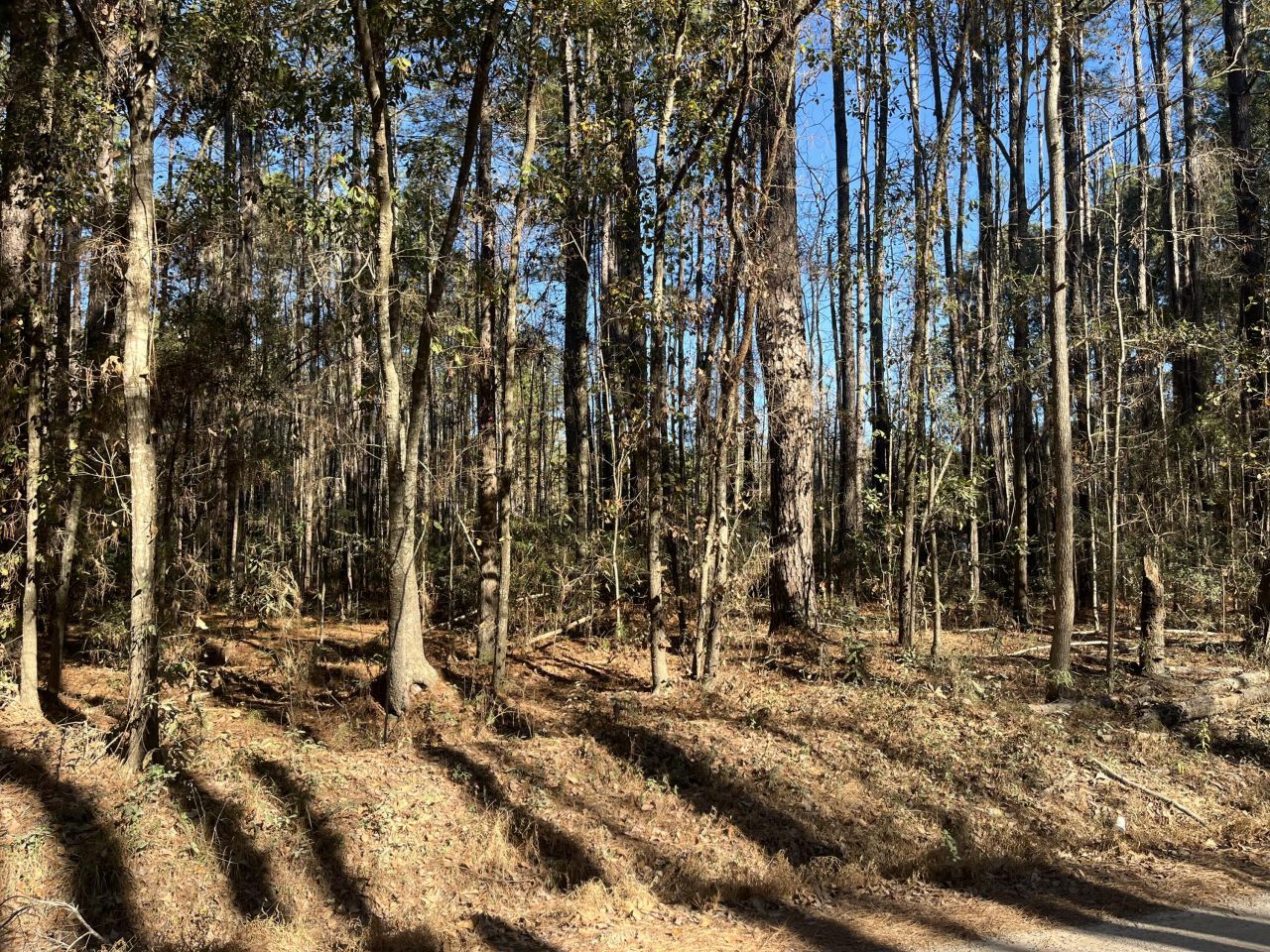 0 Brittlebank Road Photo 5