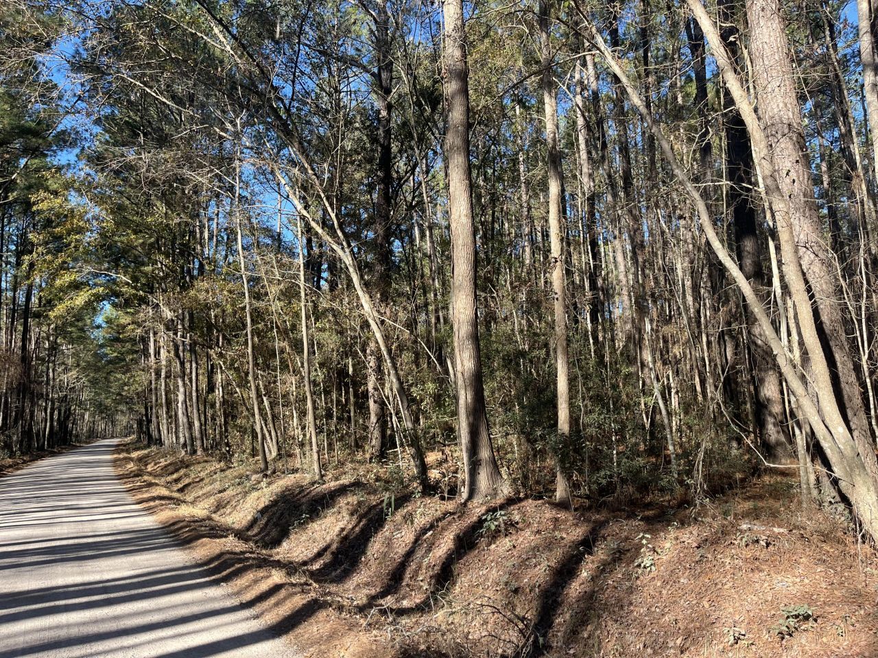 0 Brittlebank Road Photo 6