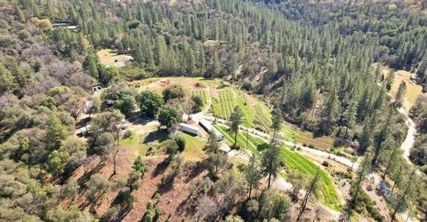 23003 Pleasant Valley Rd, North San Juan, CA 95960 Photo