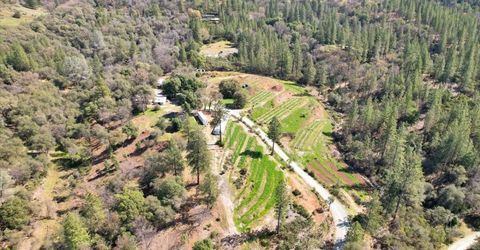23003 Pleasant Valley Rd, North San Juan, CA 95960 Photo