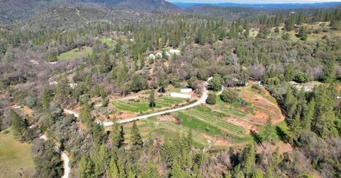 23003 Pleasant Valley Rd, North San Juan, CA 95960 Photo