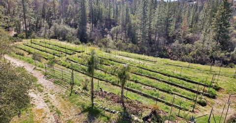 23003 Pleasant Valley Rd, North San Juan, CA 95960 Photo
