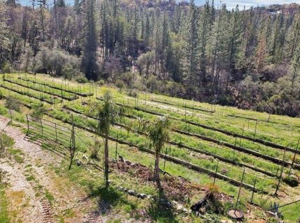 23003 Pleasant Valley Rd, North San Juan, CA 95960 Photo